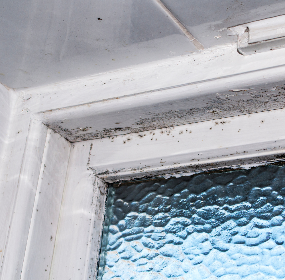 Fenster und Fensterrahmen in schlechtem Zustand